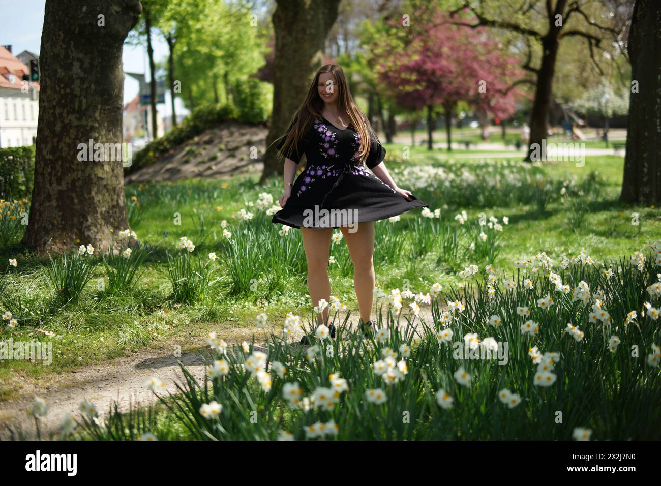 Glückliche Europäerin dreht sich mit ihrem schwarzen Kleid im Park, umgeben von weißen Narzissen. Sie strahlt Frühlingsfreude aus, Leichtigkeit, Glück, Stockfoto