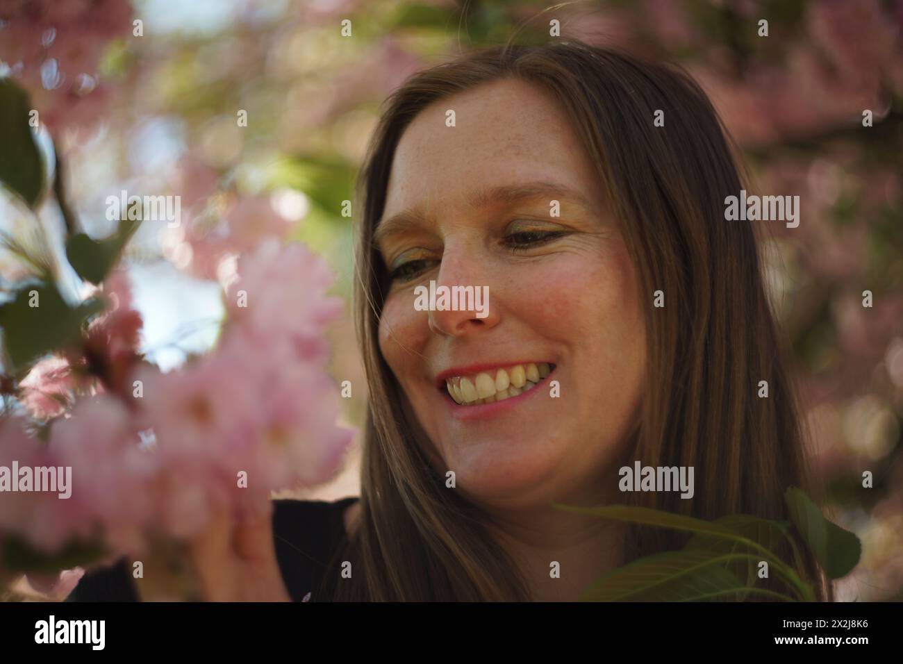 Porträt einer Frau, die Kirschblüten auf einem Baum ansieht, ihr Ausdruck zufrieden, glücklich, befreit, wertschätzend, tief verbunden mit der Natur, und inne Stockfoto