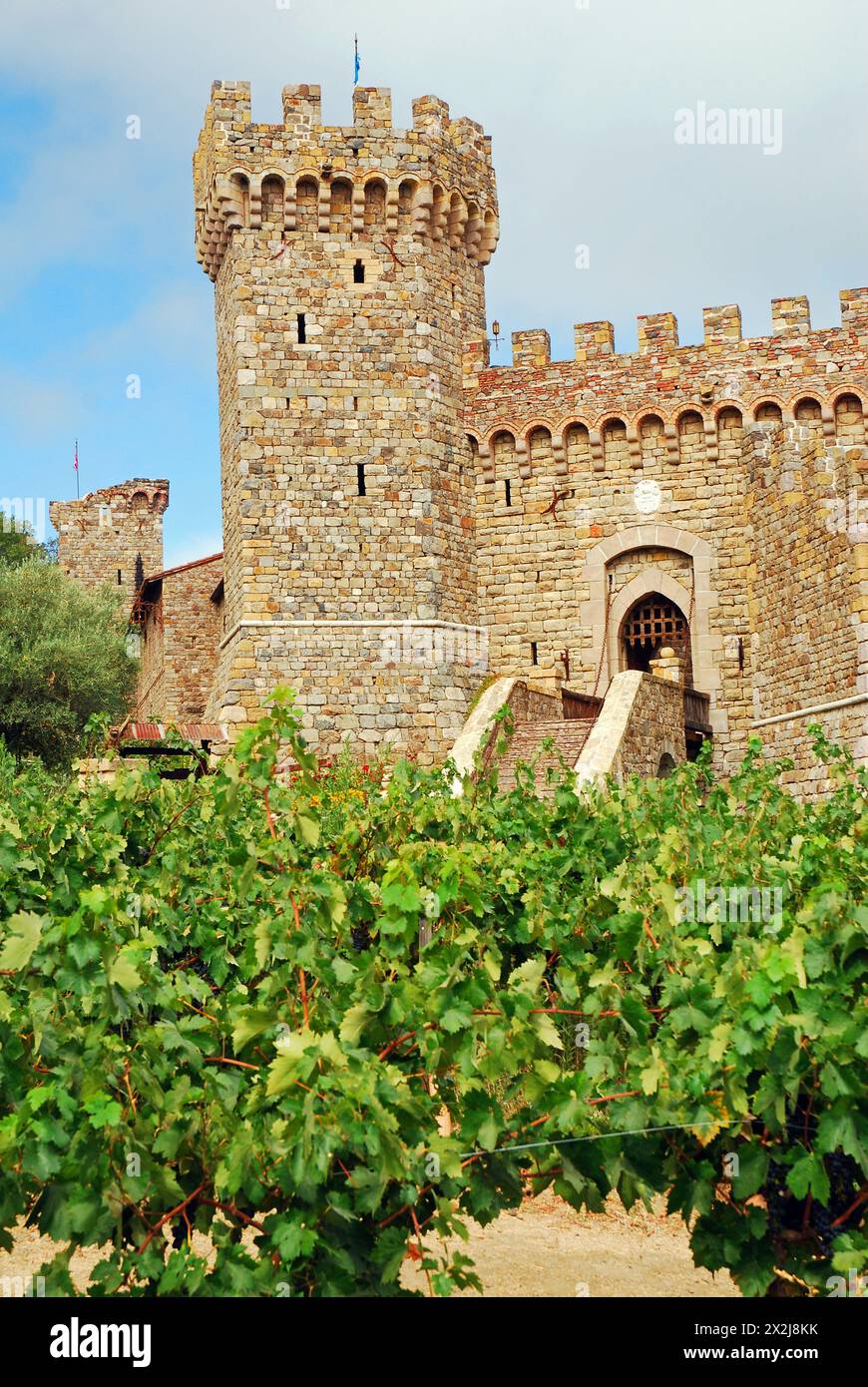 Ein Weinberg wächst im Vorgarten einer nachgebildeten mittelalterlichen Burg im Napa Valley Stockfoto