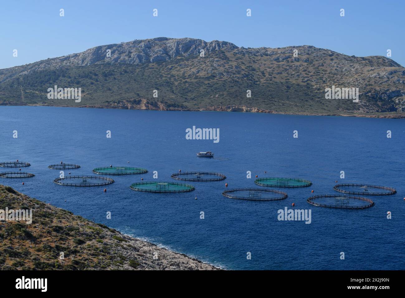 Athen, Griechenland. 19. April 2024. Fischkäfige schwimmen auf der Wasseroberfläche der Kastelorizo-Gruppe im Saronischen Golf. Die Fischzucht kann einen nachhaltigen Ansatz zur Umkehrung der Überfischung wildlebender Fischpopulationen bieten. Quelle: Dimitris Aspiotis/Alamy Stockfoto