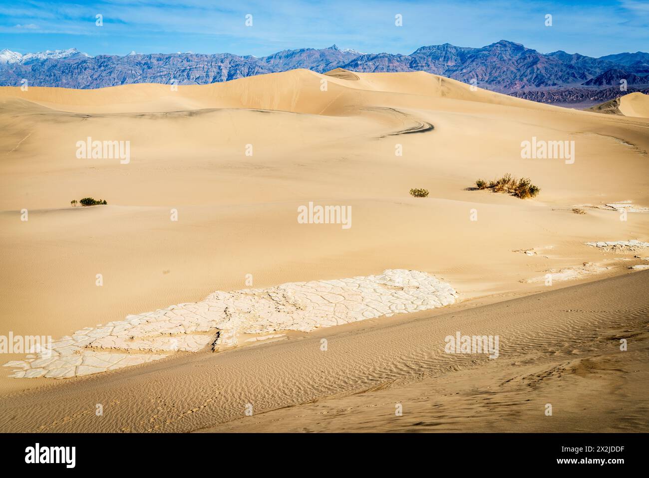 Malerischer Blick auf die Mesquite Flat Sand Dunes und die Berge dahinter im Death Valley National Park in Kalifornien Stockfoto