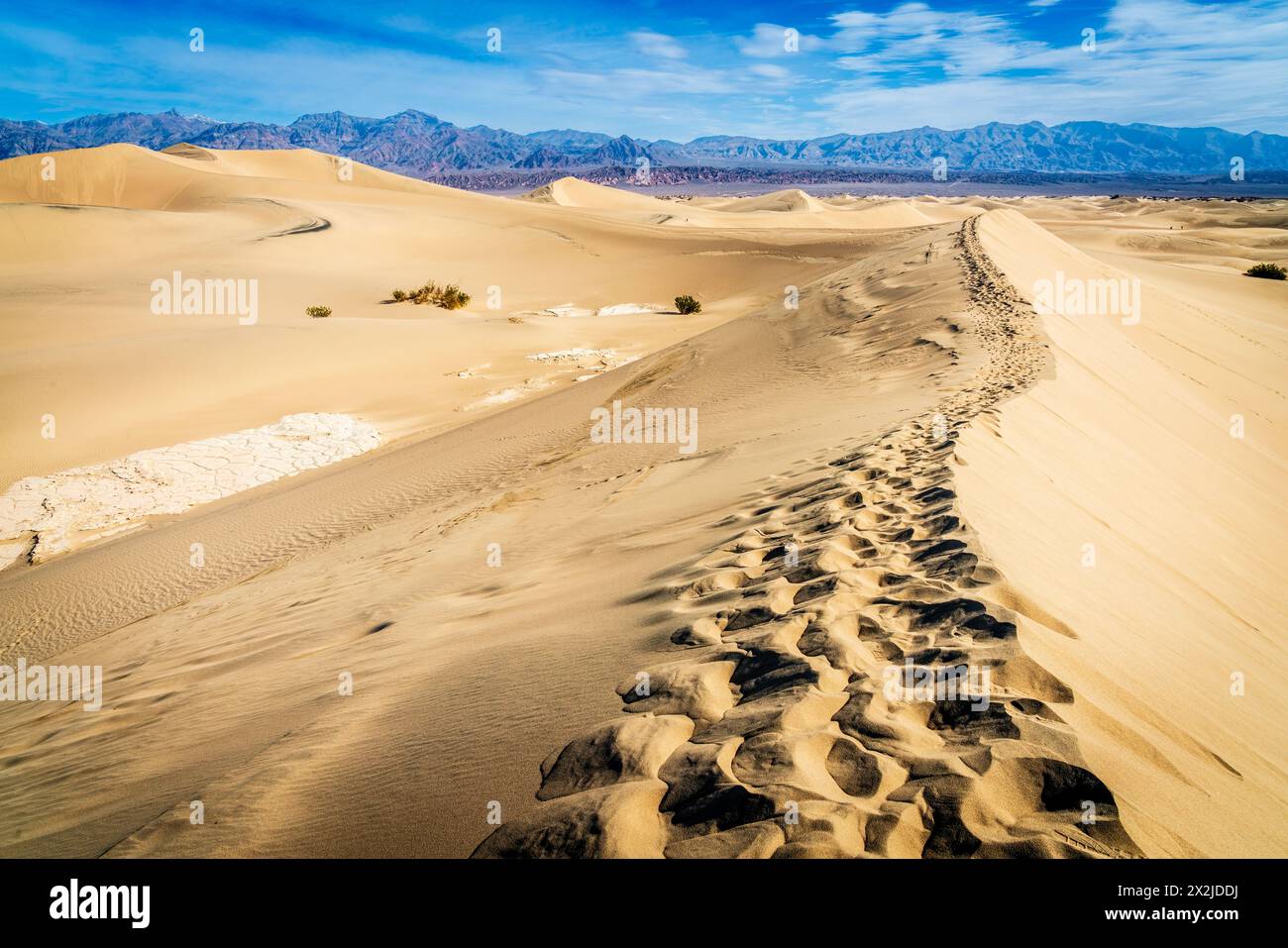 Dünenkamm in Mesquite Flat Sand Dunes im Death Valley National Park in Kalifornien Stockfoto