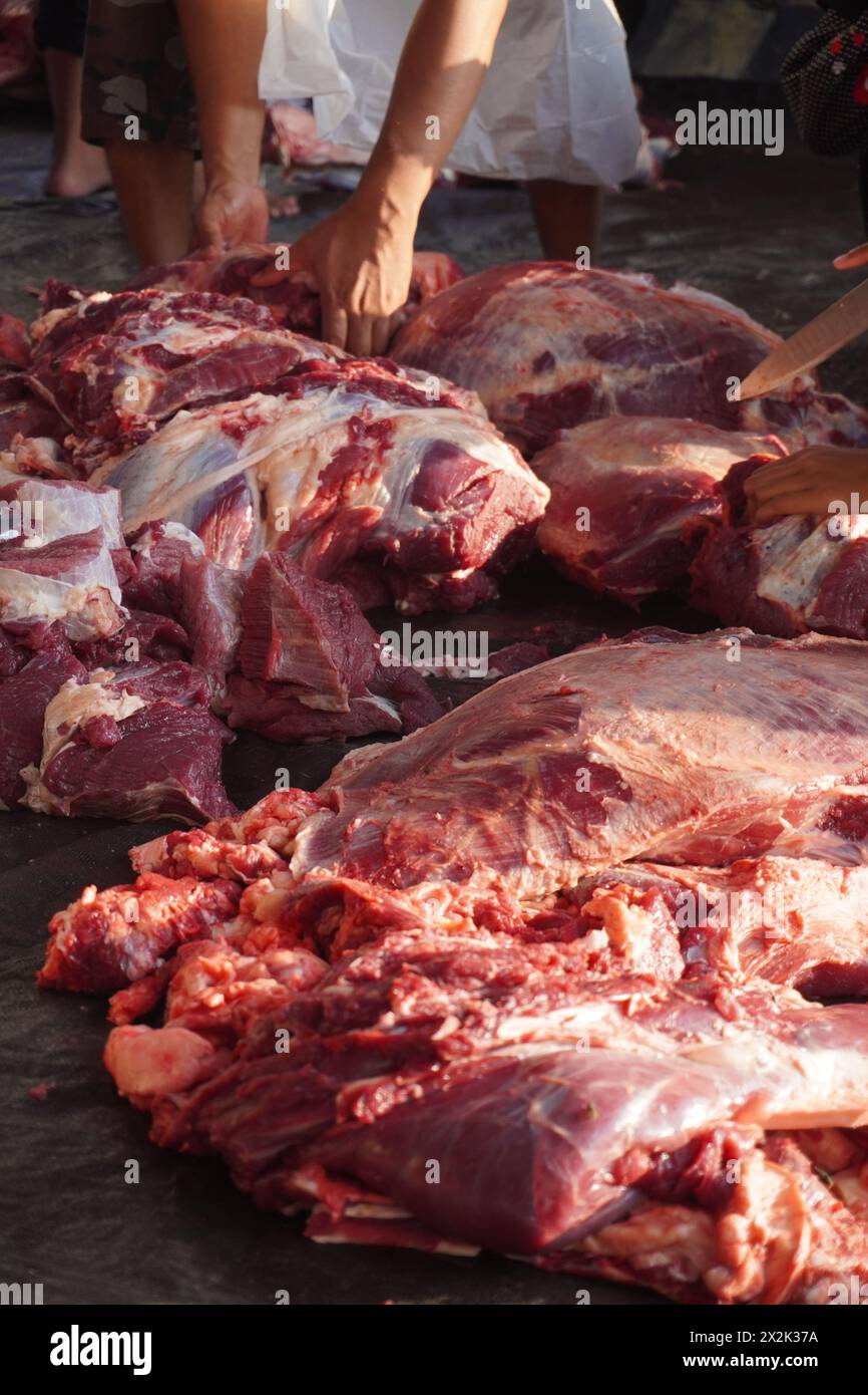 Rindfleisch, das während der Eid al-Adha-Feier noch in große Größen geschnitten wird Stockfoto