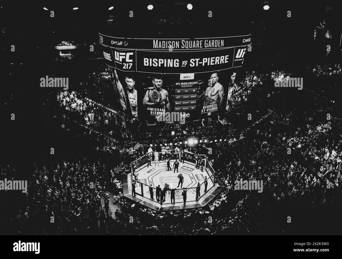 Diese Momentaufnahme einer UFC Fight Night im Madison Square Garden sorgt für eine aufregende Atmosphäre, die von einer Menge eifriger Zuschauer erfüllt ist. Stockfoto