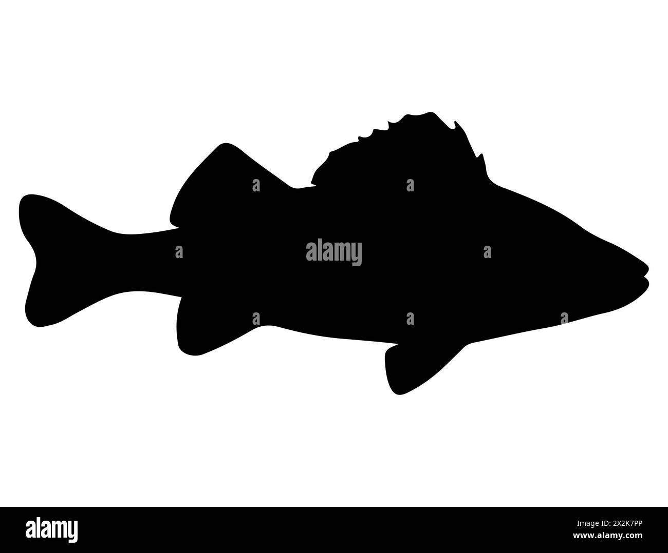 Barsch Fisch Silhouette Vektorkunst Stock Vektor