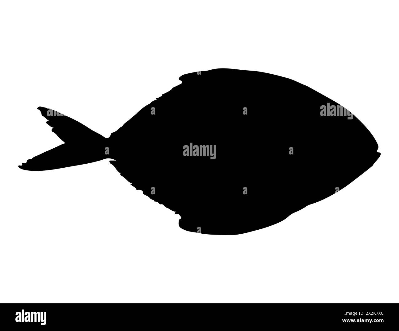 Pomfret Fisch Silhouette Vektorkunst Stock Vektor