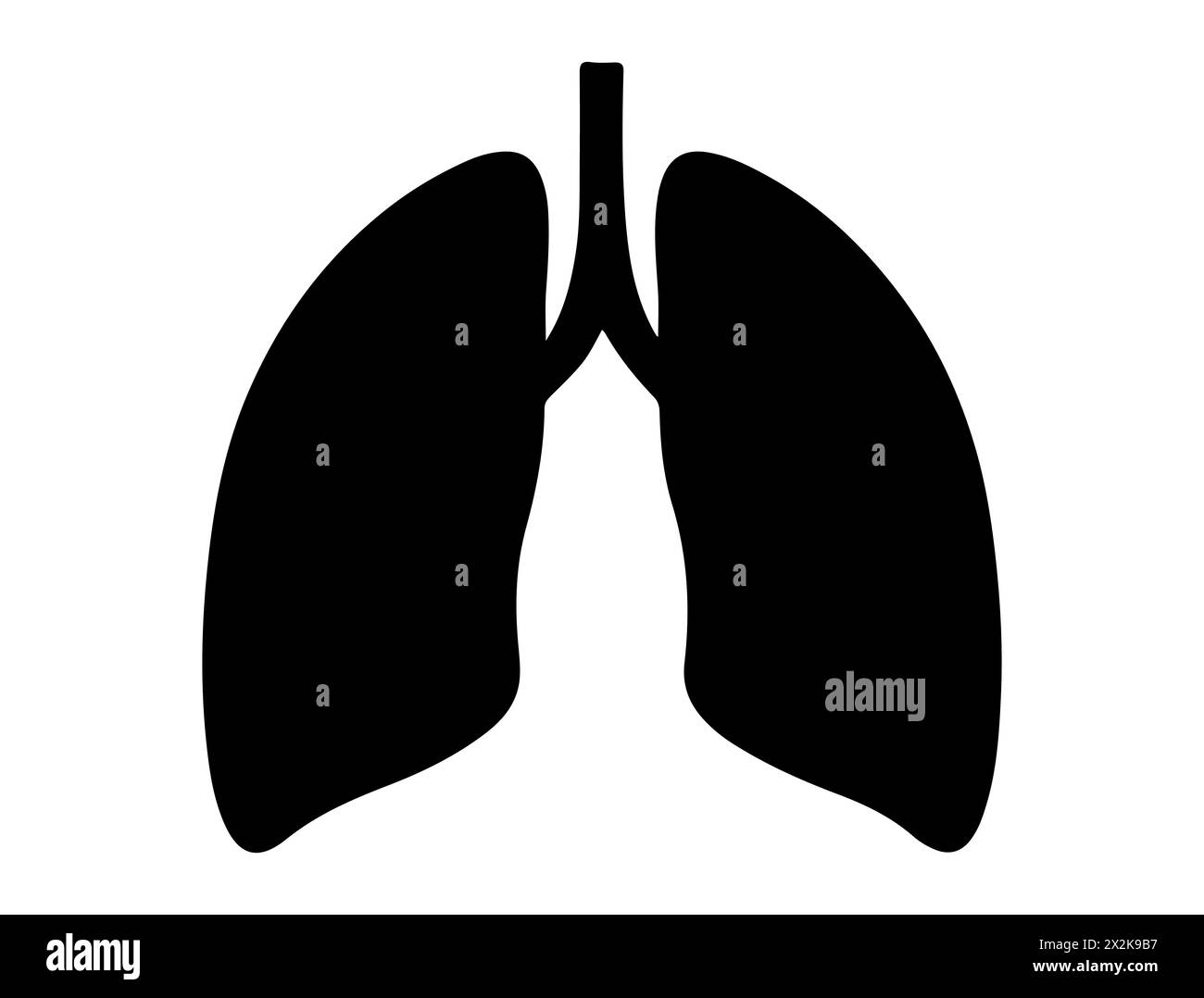 Menschliche Lungen-Silhouettenvektorkunst Stock Vektor