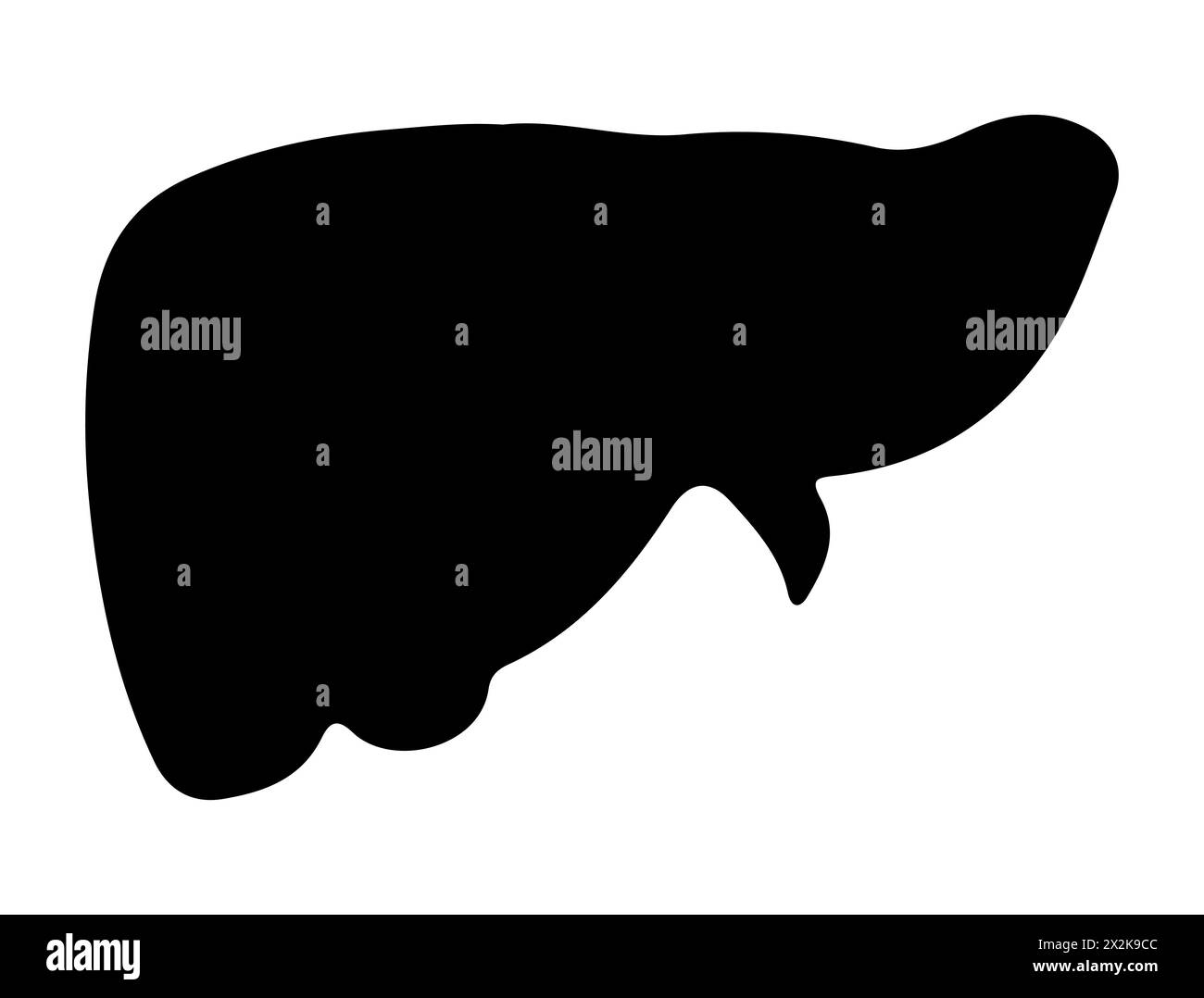 Menschliche Lebersilhouettenvektorkunst Stock Vektor