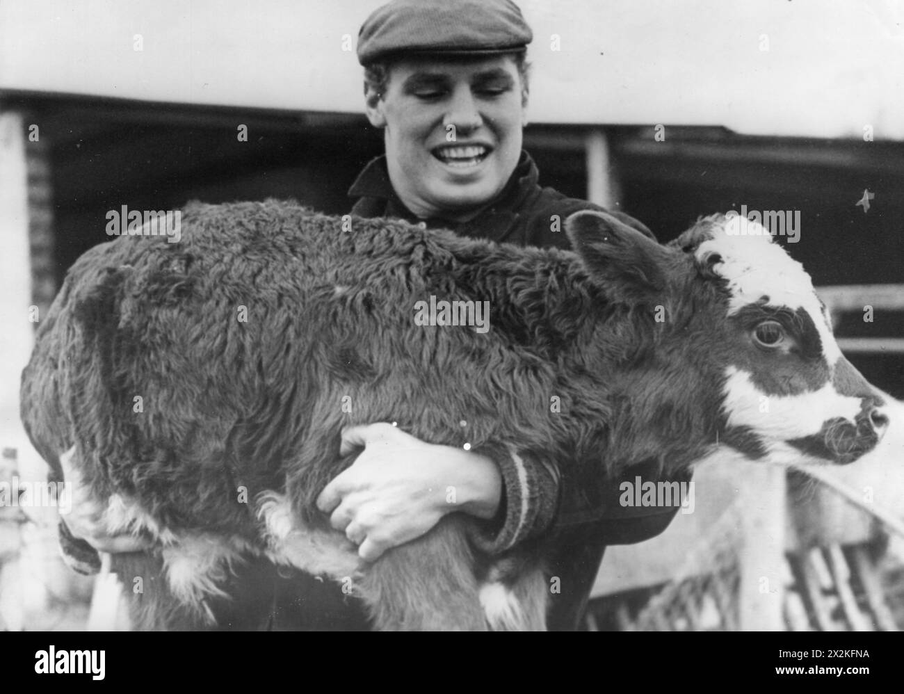 Walker, William „Billy“, * 3,3.1939, britischer Sportler (Boxer), 14.3,1967, ADDITIONAL-RIGHTS-CLEARANCE-INFO-NOT-AVAILABLE Stockfoto