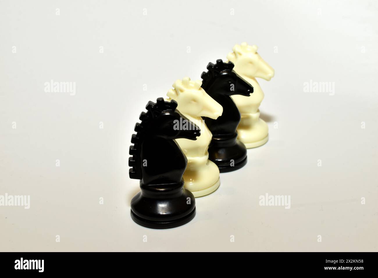 Schachritter, weiß und schwarz, werden in einer Reihe auf weißem Hintergrund platziert. Stockfoto