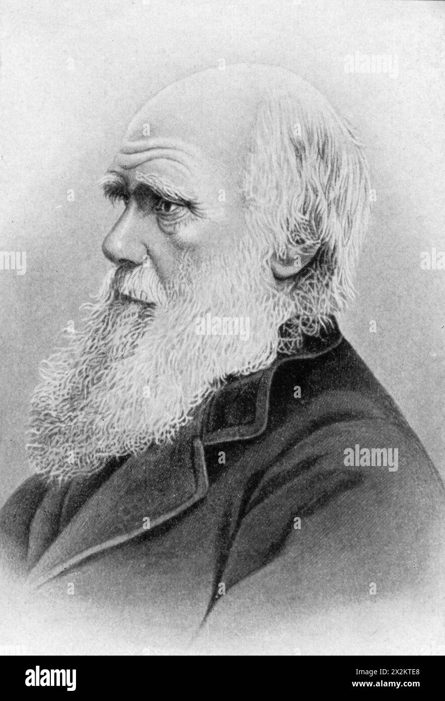 Darwin, Charles Robert, 12.2.1809 - 19.4,1882, britischer Naturwissenschaftler, Druck auf Foto, ADDITIONAL-RIGHTS-CLEARANCE-INFO-NOT-AVAILABLE Stockfoto