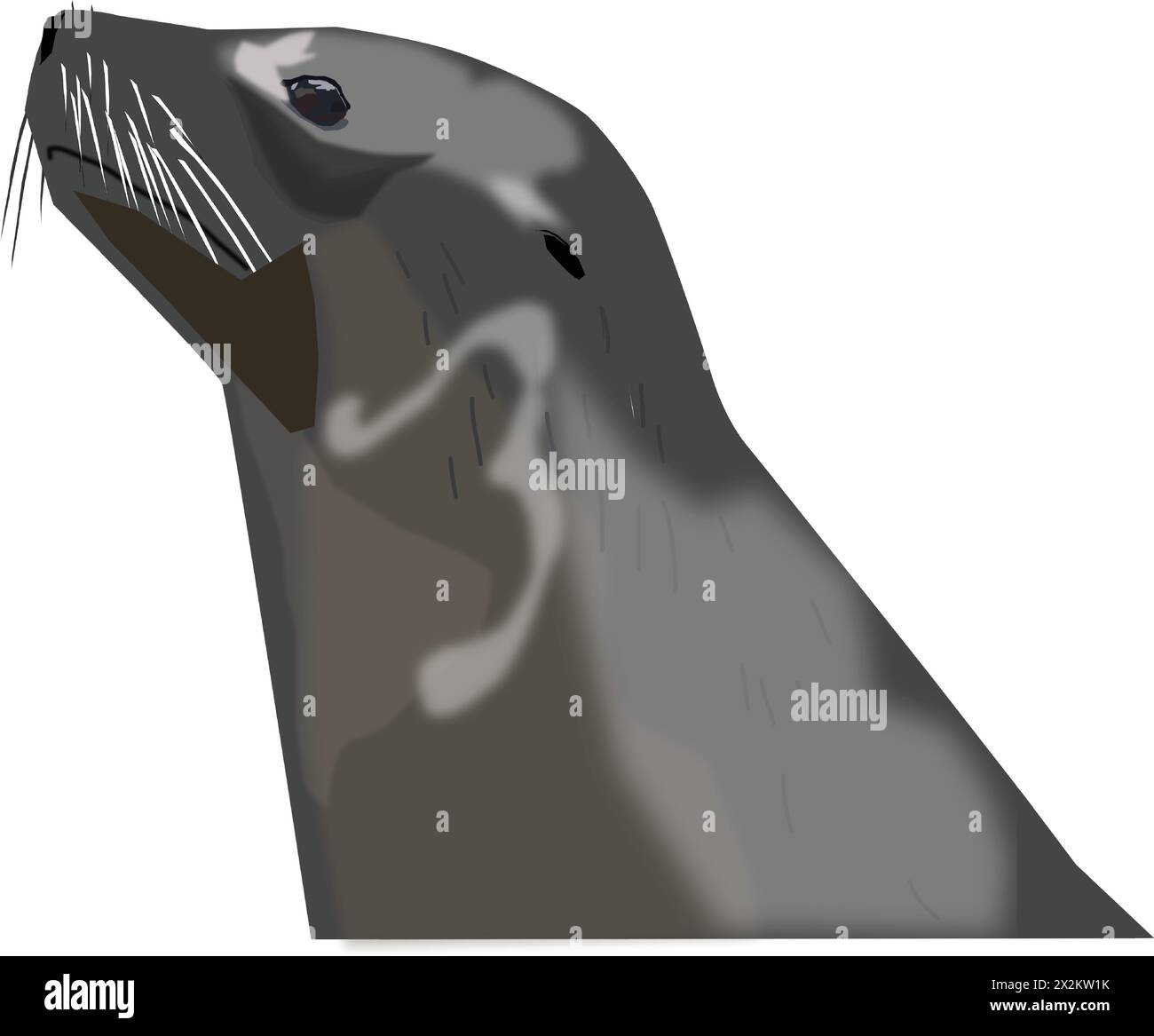 Seelöwen-Vektor-Illustration. Stock Vektor