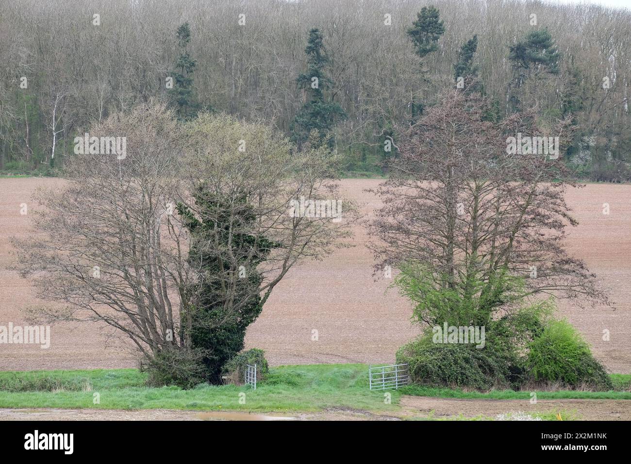 Offene Tore, die zu einem Ackerland führen Stockfoto