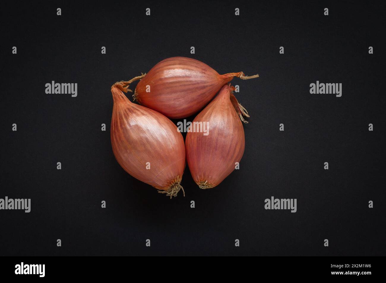 Drei ganze Schalotten auf schwarzem Hintergrund Stockfoto