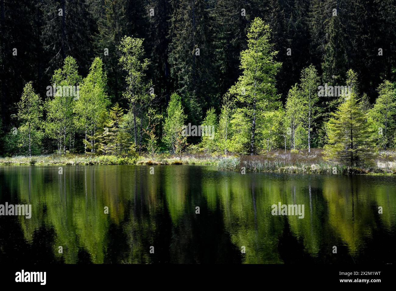 Geografie / Reise, Deutschland, Baden-Württemberg, ADDITIONAL-RIGHTS-CLEARANCE-INFO-NOT-AVAILABLE Stockfoto