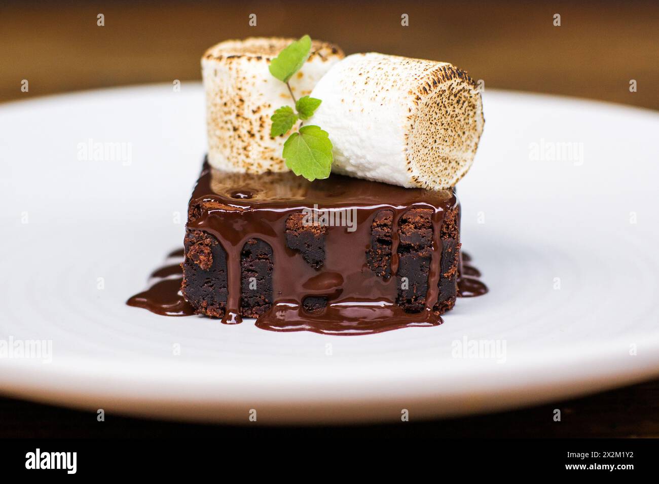 Brownie mit Schokoladensoße und s'mores auf weißem Teller auf hölzernem Restauranttisch Stockfoto
