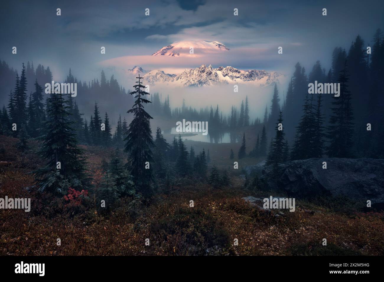 Geografie / Reise, USA, Washington, Cascade Mountains, Little Tipsoo Lake und Mount Rainier, ADDITIONAL-RIGHTS-CLEARANCE-INFO-NOT-AVAILABLE Stockfoto