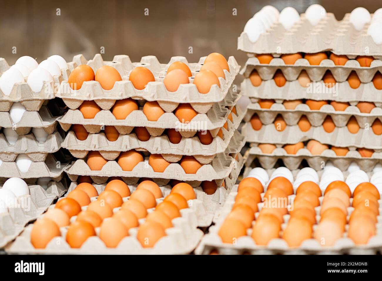 Gestapelte Eierkartons gefüllt mit weißen und braunen Eiern, die zum Verkauf bereitstehende Geflügelzuchtprodukte präsentieren Stockfoto