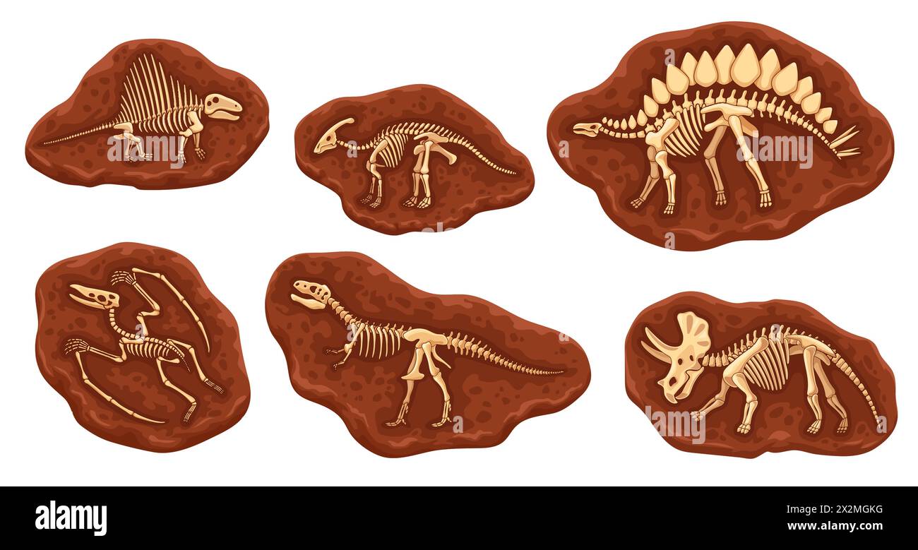 Cartoon-Dinosaurier-fossile Knochen in Stein. Dino-Tierkelette, Vektorgeologie, Archäologie und Paläontologie. Tyrannosaurus, triceratops, Spinosaurus, Stegosaurus, Pterodactyl, parasaurolophus Stock Vektor