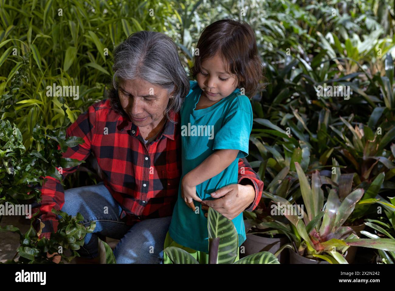 Gartenarbeit mit Kindern. Großmutter bringt ihrem lateinamerikanischen Enkel bei, in ihrem Garten zu arbeiten. Hobbys und Freizeit, Lifestyle, Familienleben. Stockfoto