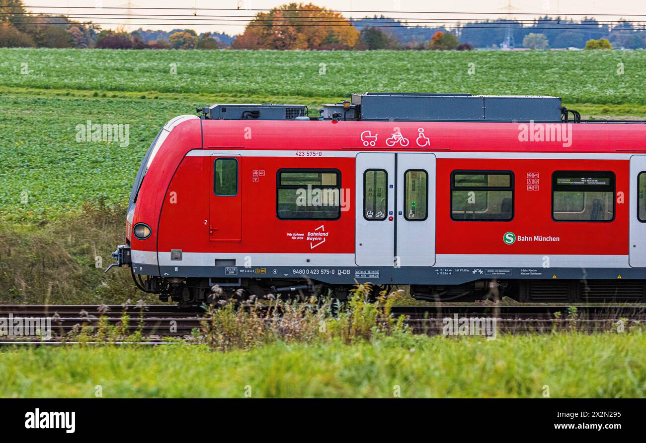 Ein Triebzug der S-Bahn München der DB Baureihe 423 ist auf der Bahnstrecke zwischen München und Nürnberg unterwegs. (Hebertshausen, Deutschland, 10,1 Stockfoto