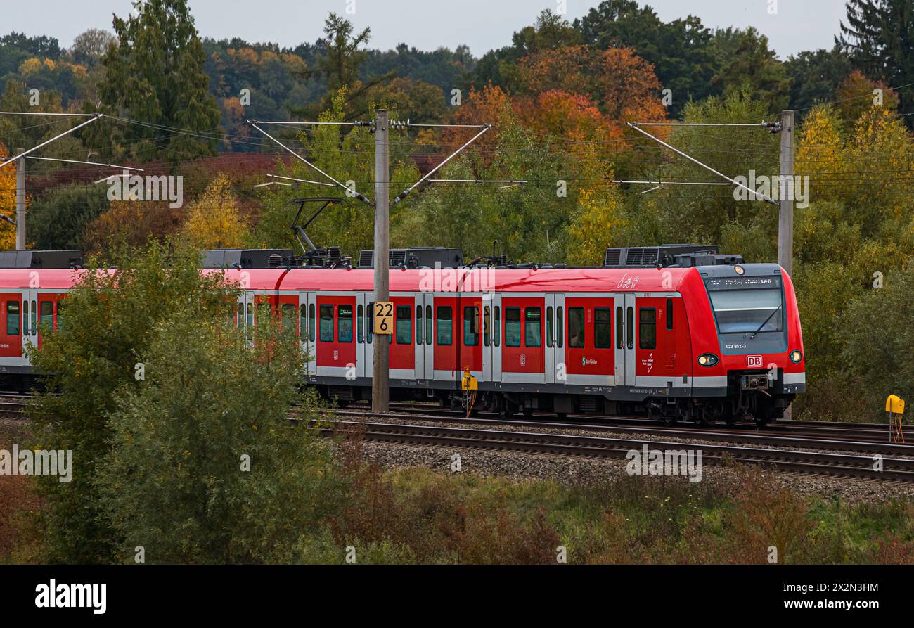 Ein Triebzug der DB Baureihe 423 der S-Bahn München ist auf der Strecke zwischen München und Nürnberg unterwegs. (Hebertshausen, Deutschland, 10.10.20 Stockfoto