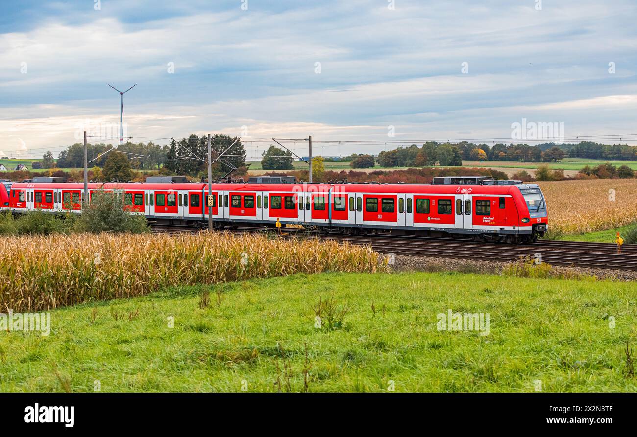 Ein Triebzug der DB Baureihe 423 der S-Bahn München auf der Bahnstrecke zwischen München und Nürnberg. (Hebertshausen, Deutschland, 10.10.2022) Stockfoto