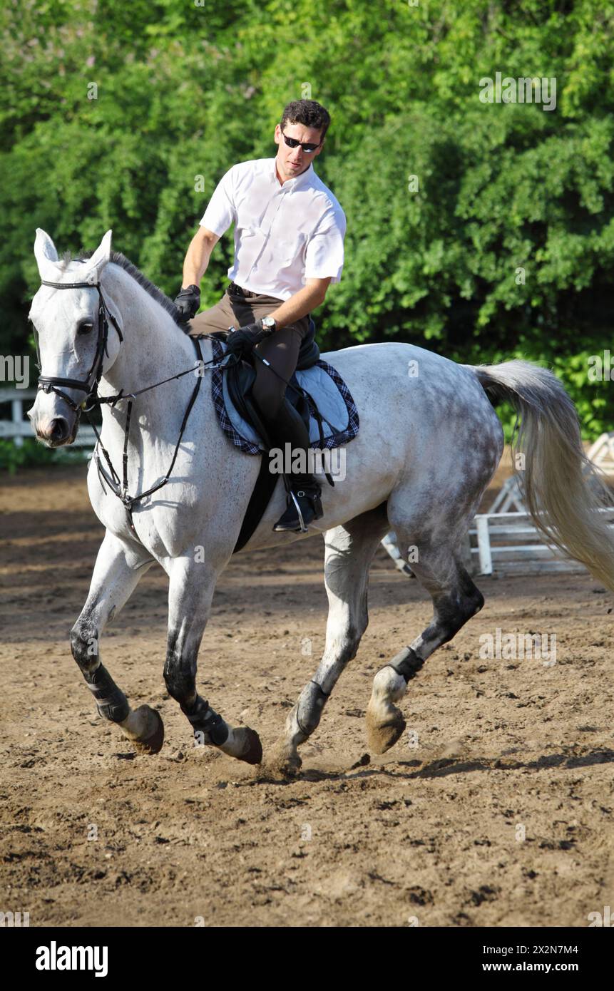 Jockey in Gläsern mit Peitsche, Uhrenreitpferd auf hippodrom Stockfoto