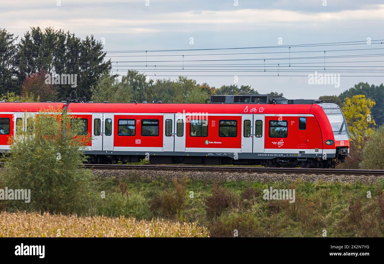 Ein Triebzug der DB Baureihe 423 der S-Bahn München ist auf der Strecke zwischen München und Nürnberg unterwegs. (Hebertshausen, Deutschland, 10.10.20 Stockfoto