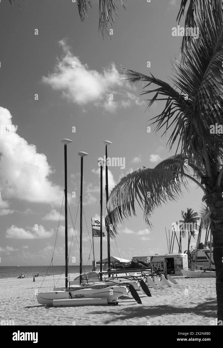 Stock Photo von einer Reihe von Segelbooten, die am Strand am Sunny Day in ft Lauderdale, Florida, USA, aufgereiht waren Stockfoto