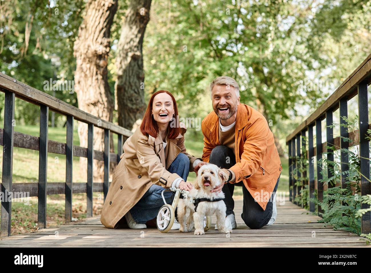 Ein Mann und eine Frau knieten mit zwei Hunden in einem Park. Stockfoto