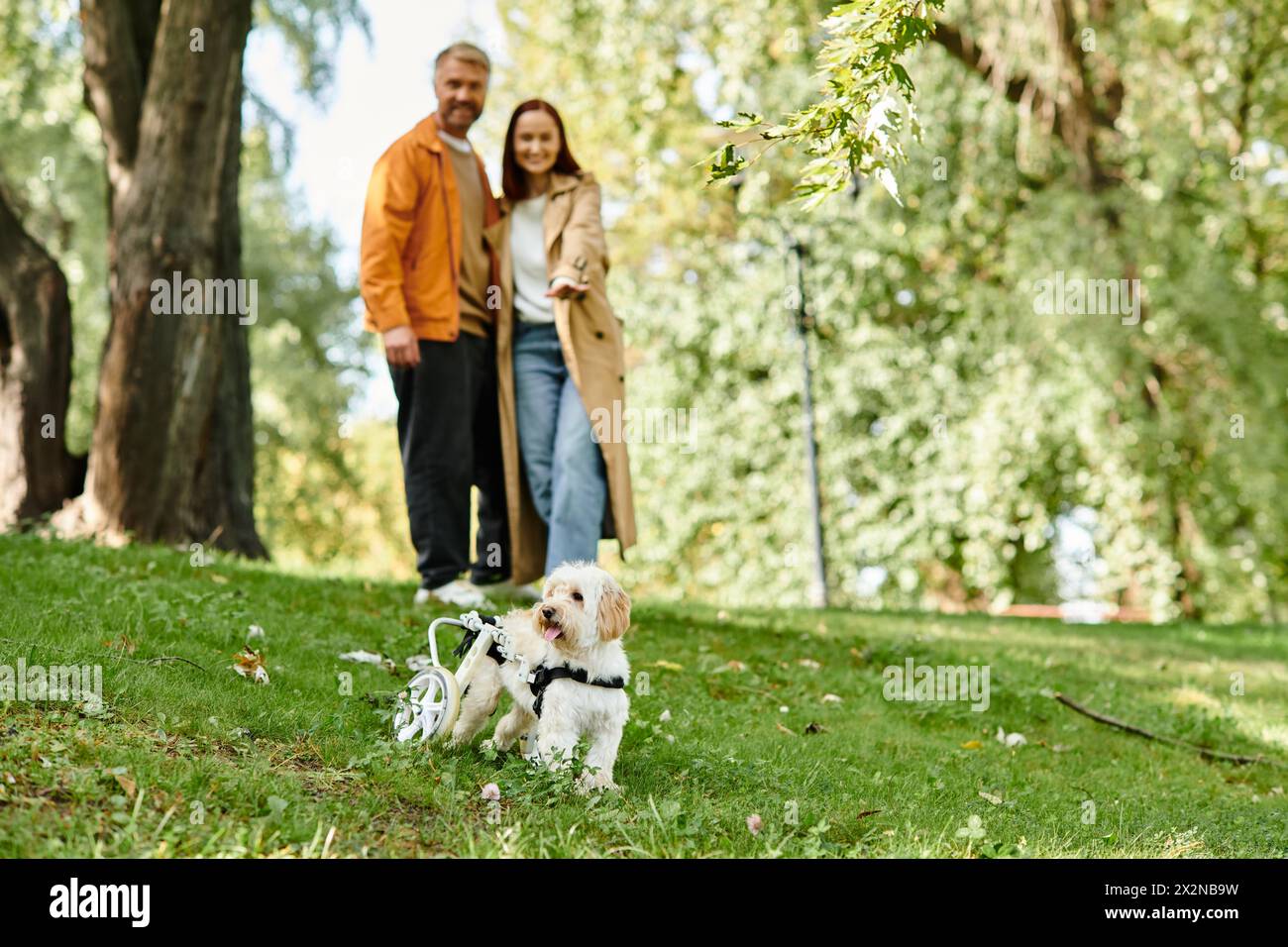Ein erwachsenes Paar in lässiger Kleidung geht mit seinem Hund in einem üppigen Park spazieren. Stockfoto