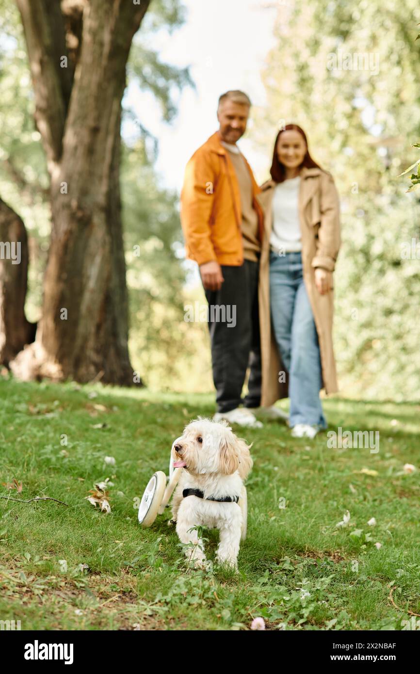 Ein Mann und eine Frau stehen im Gras und knüpfen an ihren Hund. Stockfoto