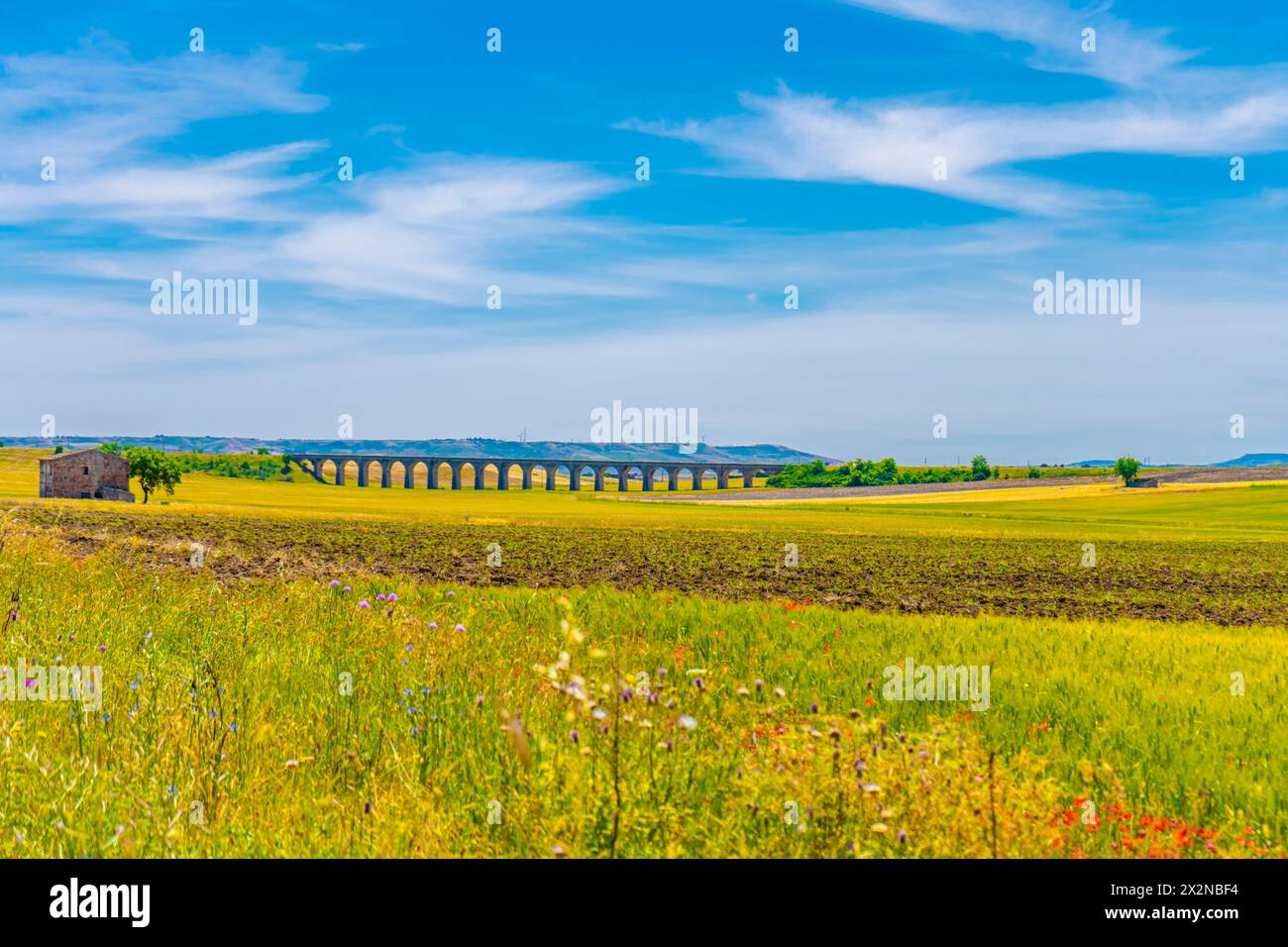 Historische Eisenbahn Steinbogen Brücke in der Nähe von spinazzola. Murgia, Region Apulien, Italien Stockfoto