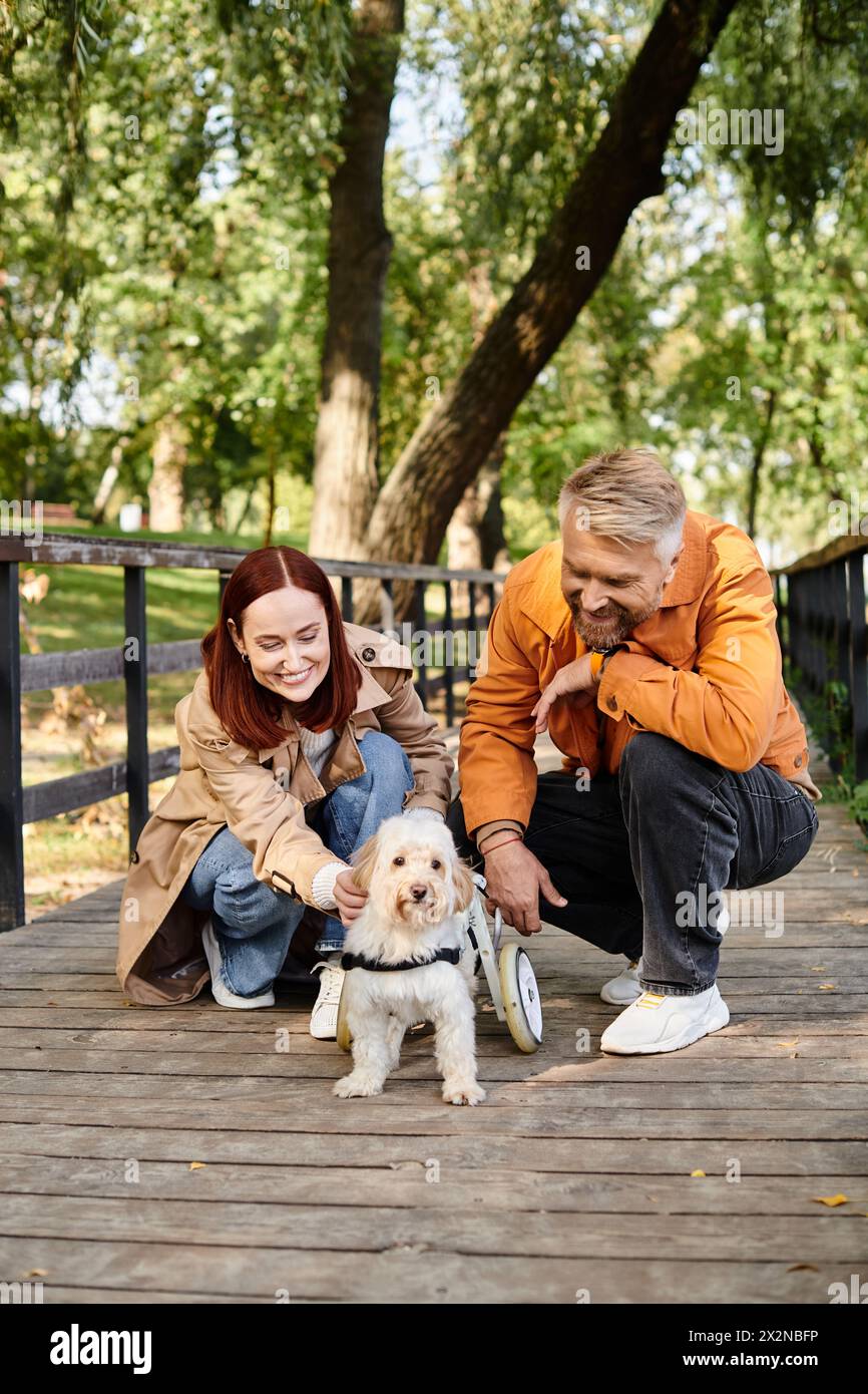 Erwachsenes Paar streichelt einen kleinen Hund während eines gemütlichen Spaziergänges im Park. Stockfoto
