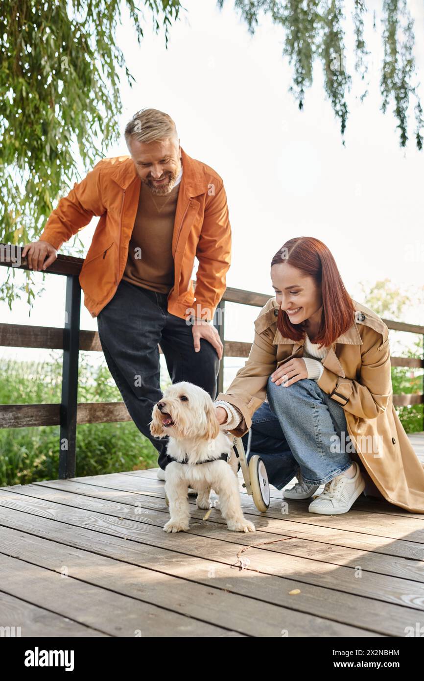 Erwachsenes Paar in lässiger Kleidung, genießen einen ruhigen Moment, während es einen kleinen, glücklichen Hund im Park streichelt. Stockfoto
