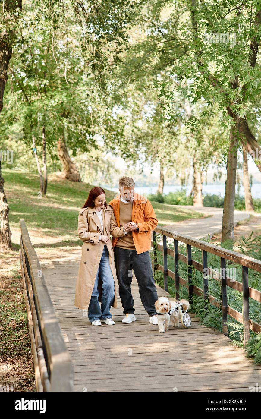 Ein paar Spazierhund auf einer friedlichen Brücke im Park. Stockfoto