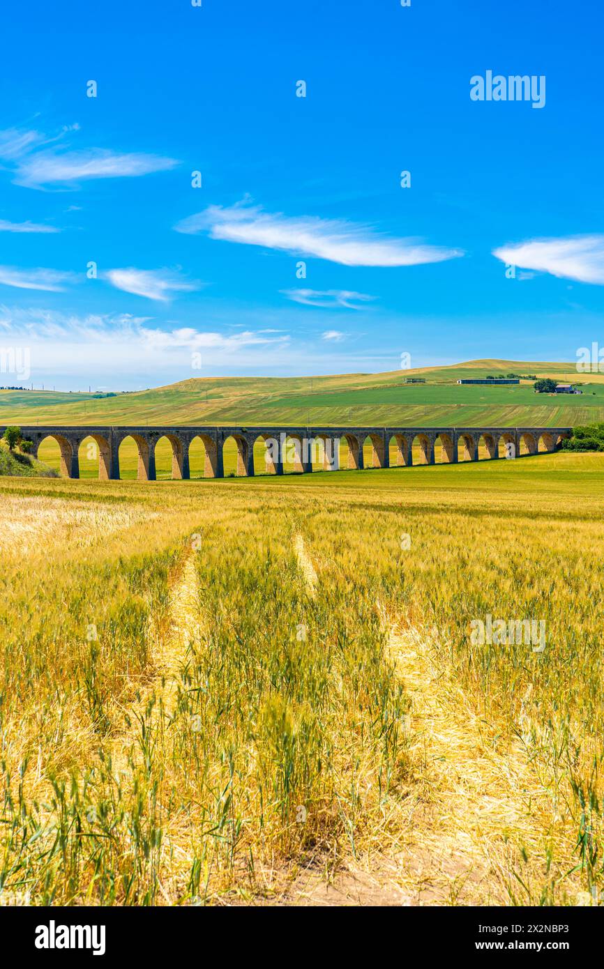 Historische Eisenbahn Steinbogen Brücke in der Nähe von spinazzola. Murgia, Region Apulien, Italien Stockfoto