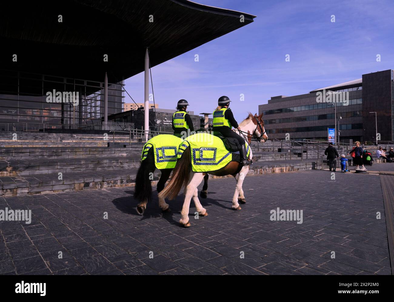 Zwei Polizeipferde und weibliche Polizisten patrouillieren vor dem walisischen Parlamentsgebäude, Senedd Cymru, Cardiff Bay, Südwales. Vom April 2024 Stockfoto