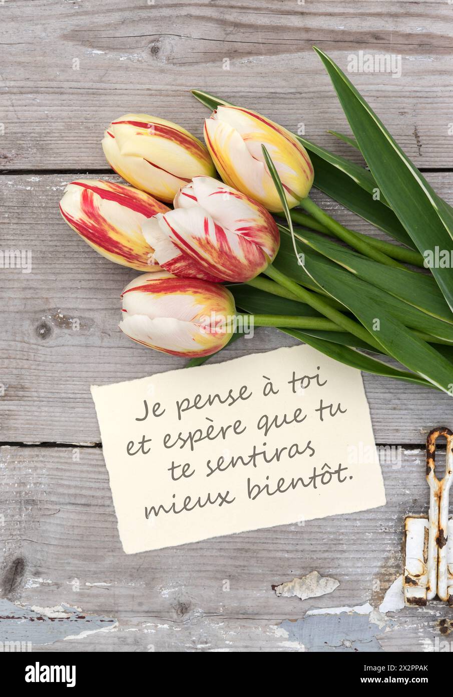 Grußkarte mit roten, gelben und weißen Tulpen und französischem Text: I'm Thinking of you. Ich hoffe, du fühlst dich bald besser Stockfoto