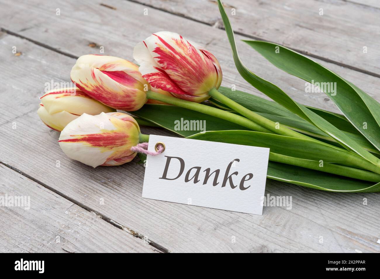 Grußkarte mit roten, gelben und weißen Tulpen und deutschem Text: Danke Stockfoto