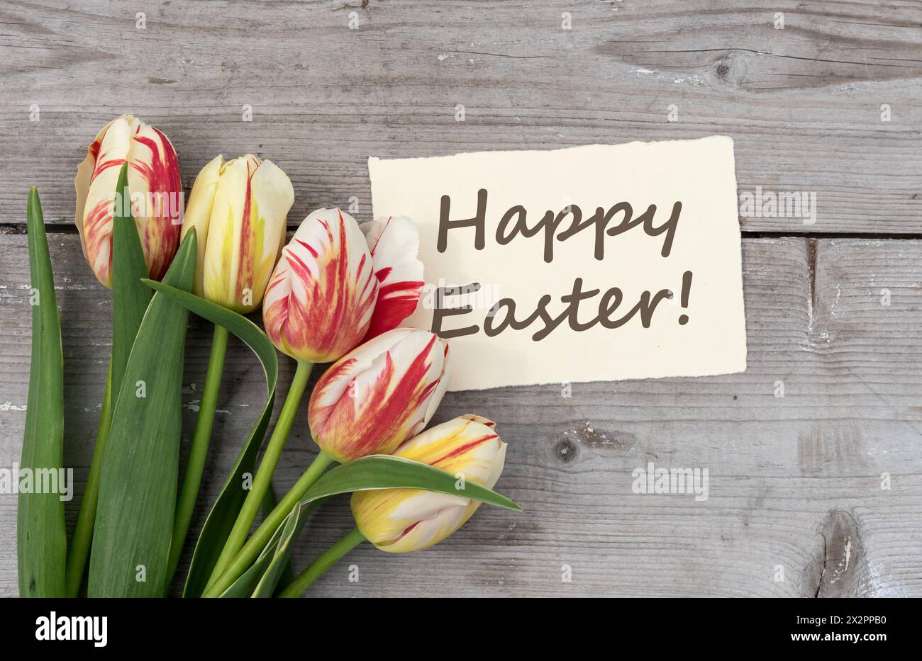 Grußkarte mit roten, gelben und weißen Tulpen und englischem Text: Happy Easter Stockfoto