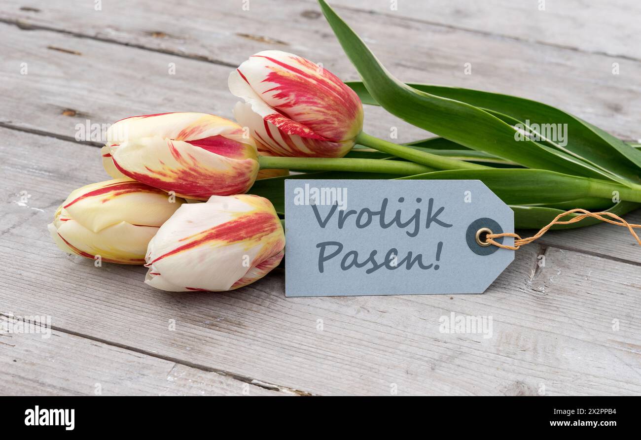 Grußkarte mit roten, gelben und weißen Tulpen und niederländisch, Text: Happy Easter Stockfoto