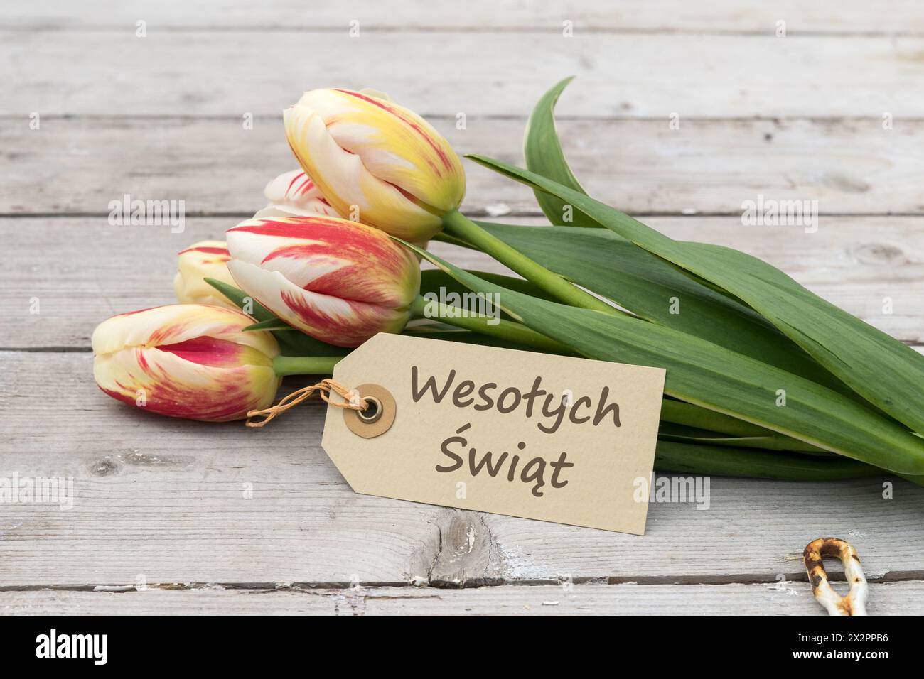 Grußkarte mit roten, gelben und weißen Tulpen und politur, Text: Happy Easter Stockfoto
