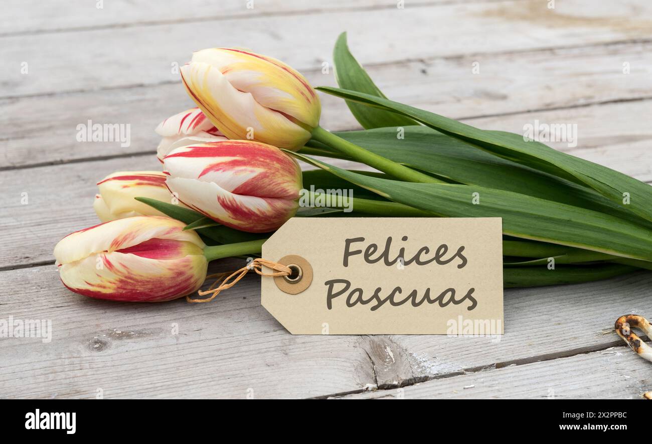 Grußkarte mit roten, gelben und weißen Tulpen und spanischem Text: Happy Easter Stockfoto