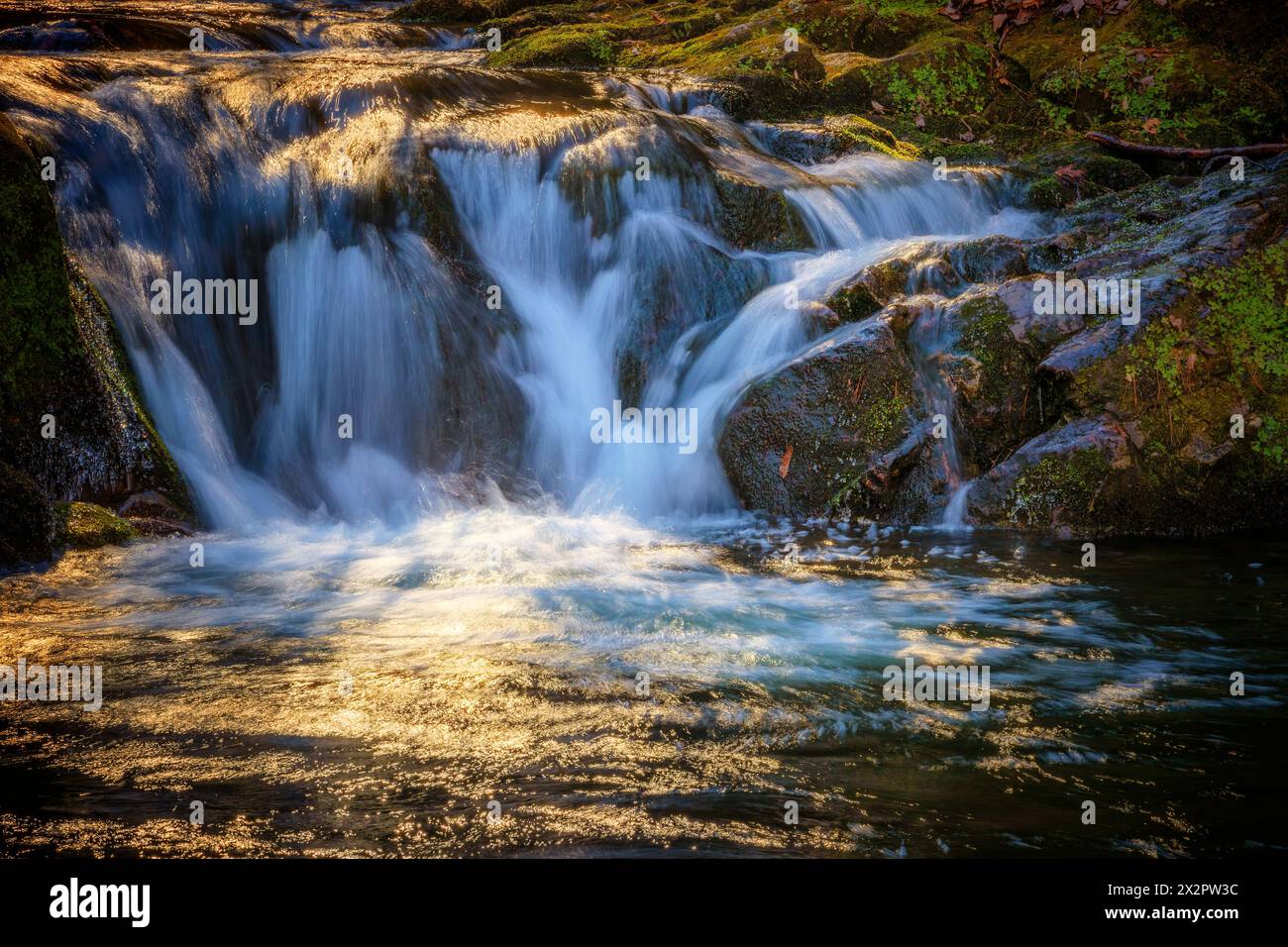 Abschnitte des Rocky Fork Creeek im Lamar Alexander Rocky Fork State Park, einem Park des Cherokee National Forest in Tennessee. Stockfoto