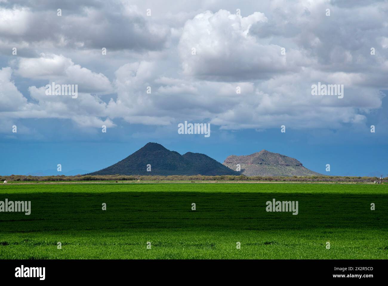 Farmfelder in der Nähe von Bergen bei stürmischem Wetter außerhalb von Tucson. Stockfoto