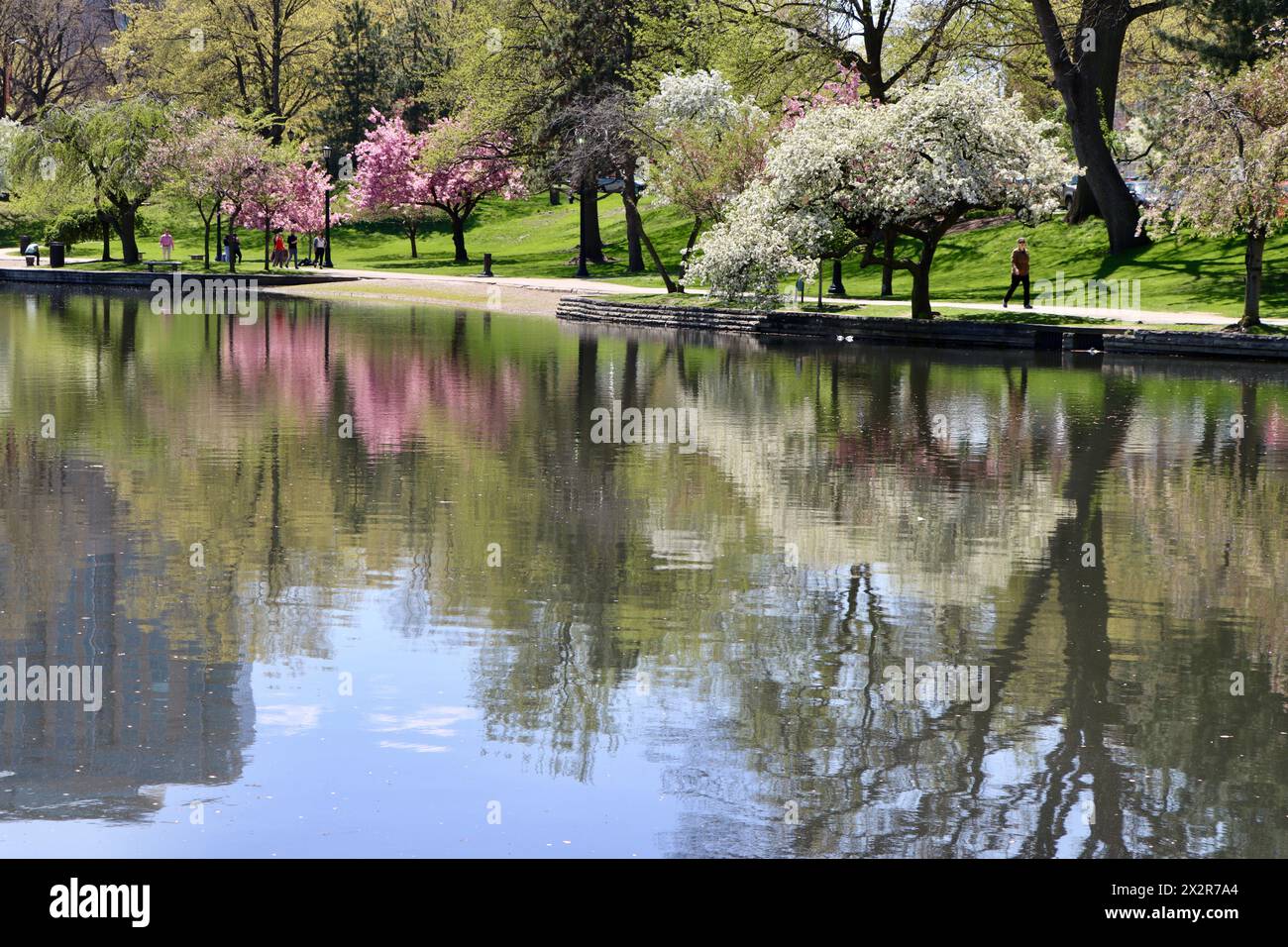 Bäume in Blüte von Wade Lagoon am University Circle, Cleveland, Ohio Stockfoto