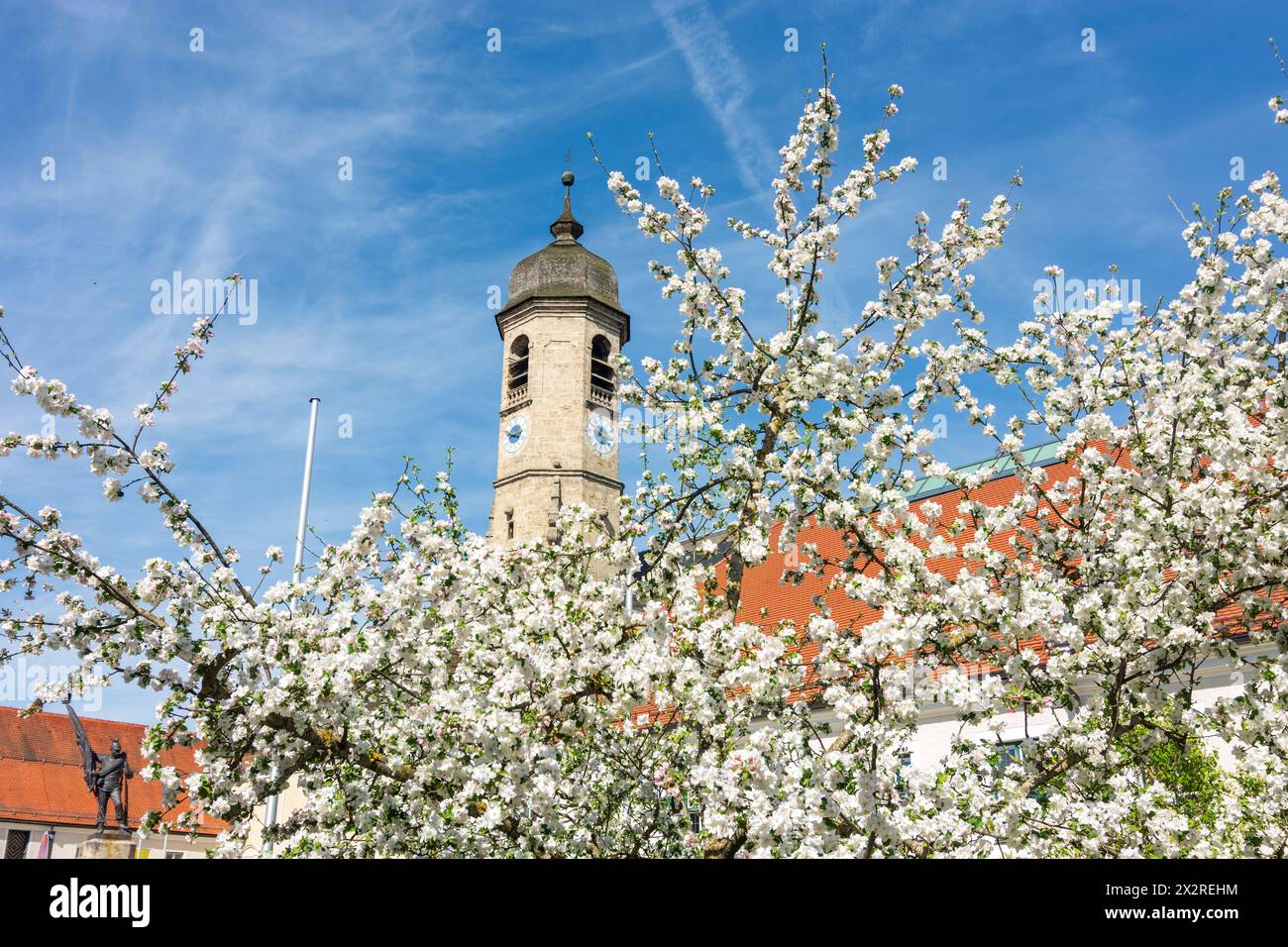 Weyarn: Kloster Weyarn, Kirche Peter und Paul, blühende Obstbäume in Oberbayern, Tegernsee Schliersee, Oberbayern, Bayern, Bayern, Deutschland Stockfoto