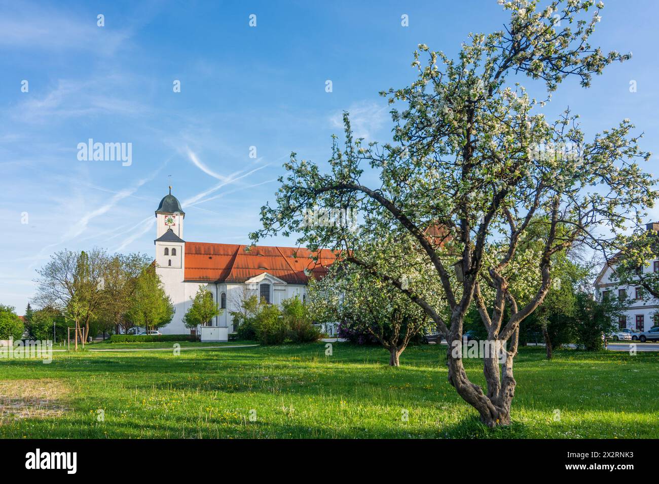 Rott am Inn: Kloster Rott, blühende Bäume in Oberbayern, Chiemsee Alpenland, Oberbayern, Bayern, Bayern, Deutschland Stockfoto